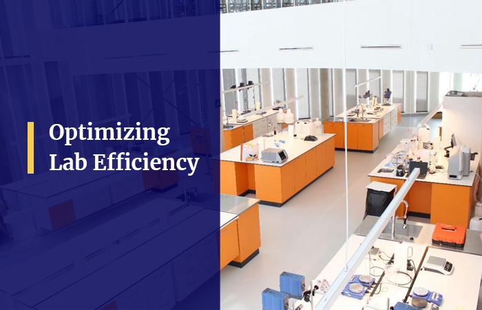 Optimizing Lab Efficiency: The Role of Ergonomic Laboratory Furniture